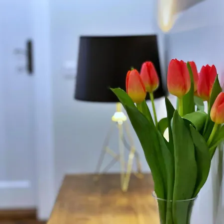 Rzeszowska 5 Apt. 3 아파트