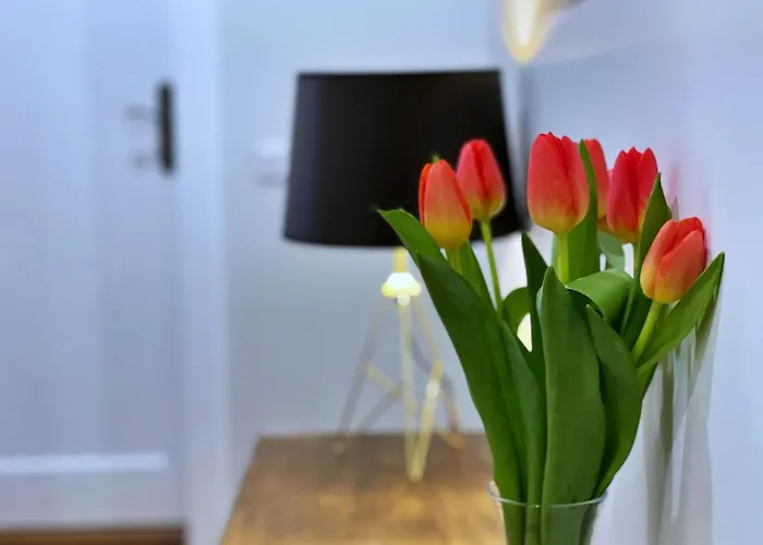 Rzeszowska 5 Apt. 3 Apartment